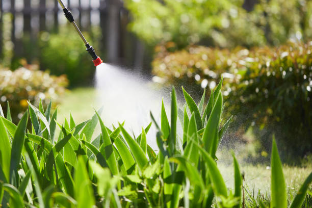 24/7 Emergency Cockroach Control experts in Los Osos, CA
